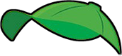 Green Cap of Mr. or Mrs. Potato Head